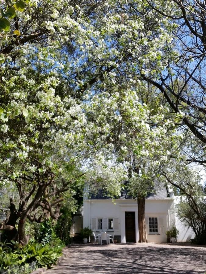 Little Green World Beaufort West Exterior photo